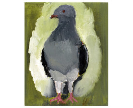 Duif . 1998 . olie op linnen . 30x24
