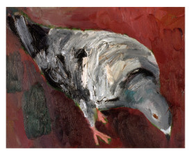 Duif . 1998 . olie op linnen . 24x30