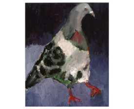 Duif . 1998 . olie op linnen . 30x24