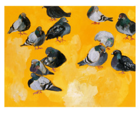 Duiven . 1999 . olie op linnen . 80x100