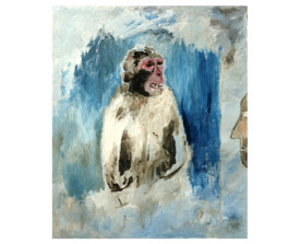 Aap in Artis . 1990 . olie op linnen . 60x50
