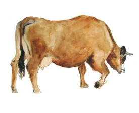 Koe, Ardèche . 2008 . 24x32