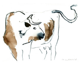 Koe, Ardèche . 2008 . 13x16