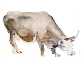 Koe, Ardèche . 2008 . 24x32