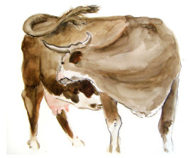 Koe, Ardèche . 2008 . 24x32