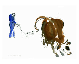 Koe met boer, Ardèche . xxxx. xxxxx