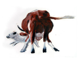 Koe met hond, Ardèche . 2003 . 50x65
